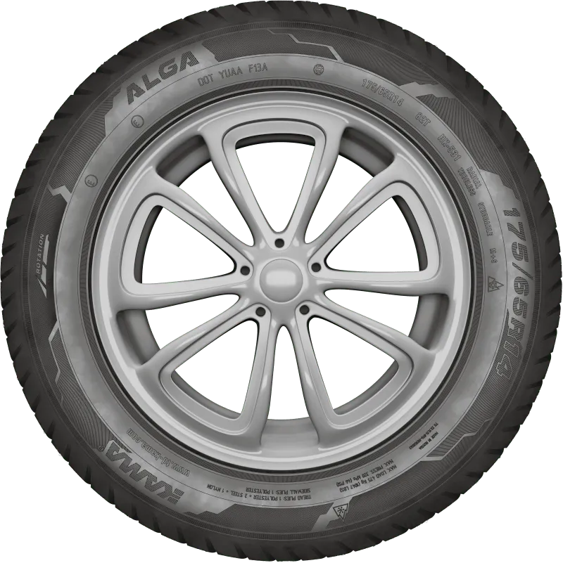 KAMA ALGA (НК-531) нешип в Сальске — KAMA TYRES KAMA ALGA (НК-531) нешип в Сальске